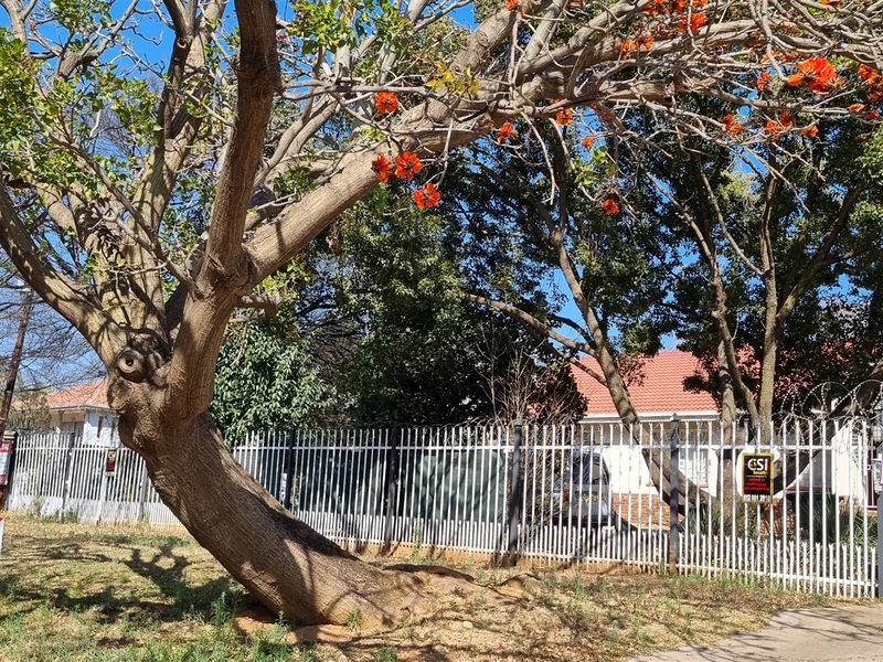 Excellent & Ideal Location! - Photo 7