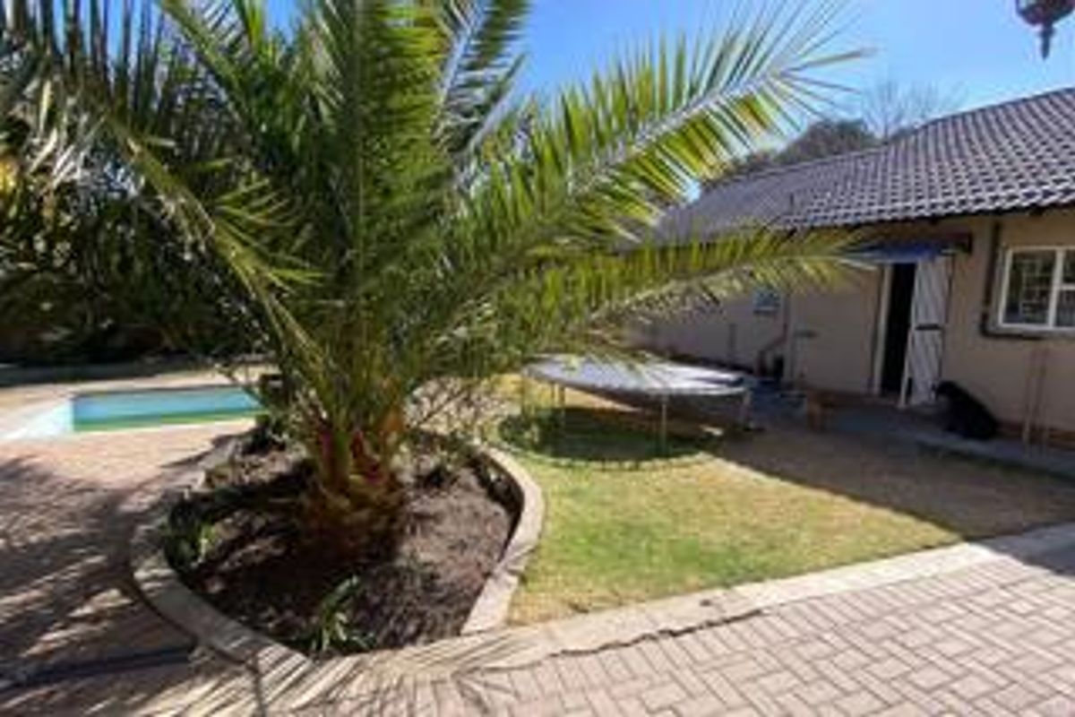 A rear garden area featuring a swimming pool, paved patio space, and established palm tree, providing a functional outdoor entertainment area.