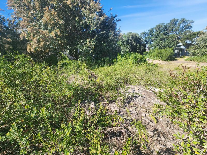 Spacious Vacant Stand for Sale – Southern Cross, Great Brak River - Photo 10