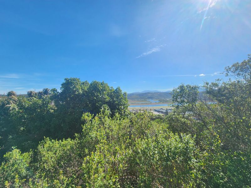 Spacious Vacant Stand for Sale – Southern Cross, Great Brak River - Photo 9