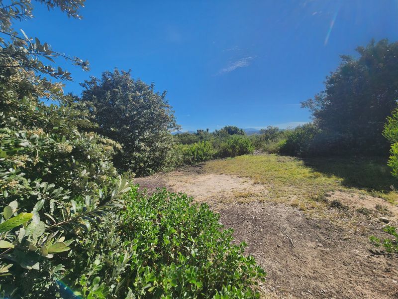 Spacious Vacant Stand for Sale – Southern Cross, Great Brak River - Photo 7