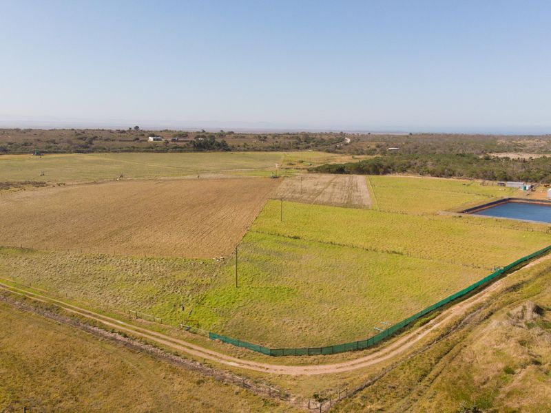 Oyster Bay Opportunity!!! - Photo 9