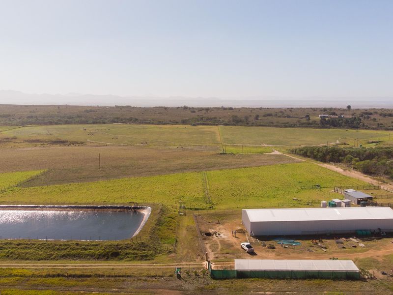 Oyster Bay Opportunity!!! - Photo 5