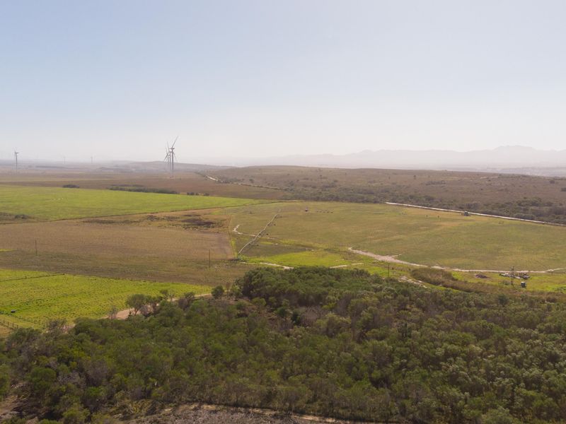 Oyster Bay Opportunity!!! - Photo 8