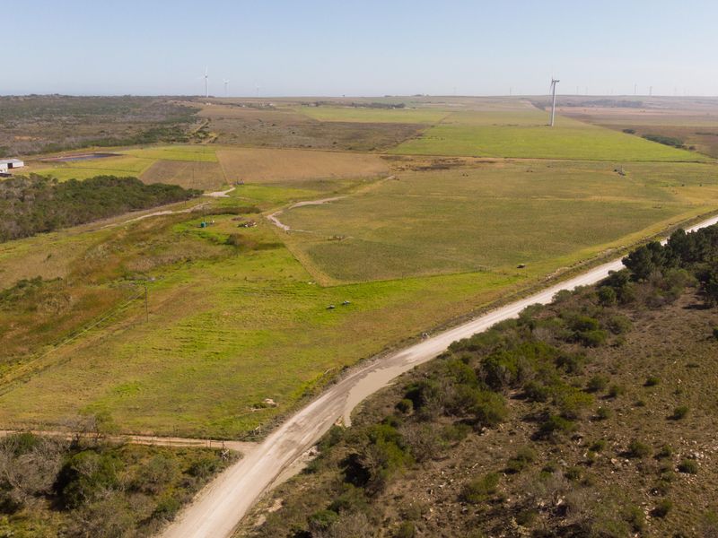 Oyster Bay Opportunity!!! - Photo 7