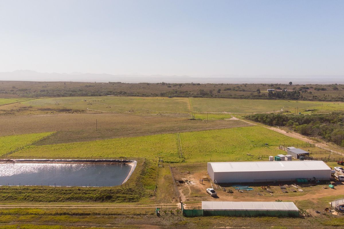 Oyster Bay Opportunity!!! - Photo 5