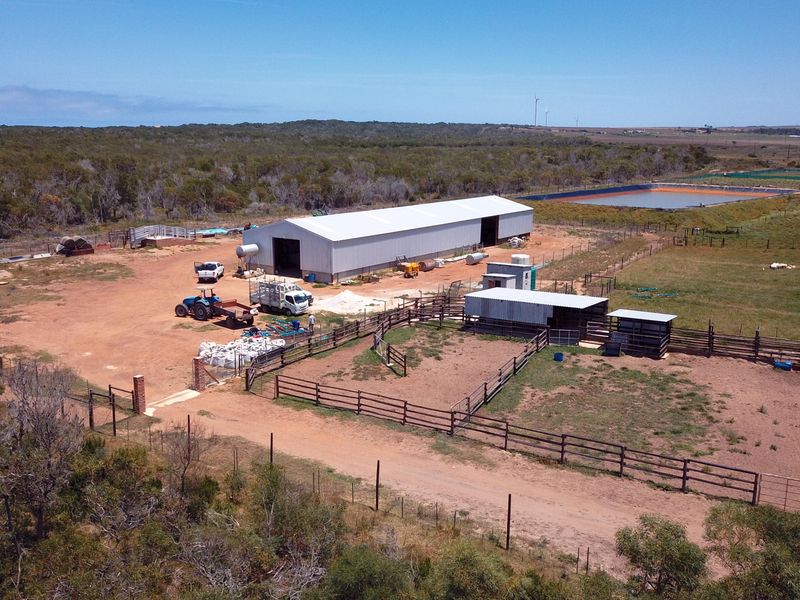 Oyster Bay Opportunity!!! - Photo 3