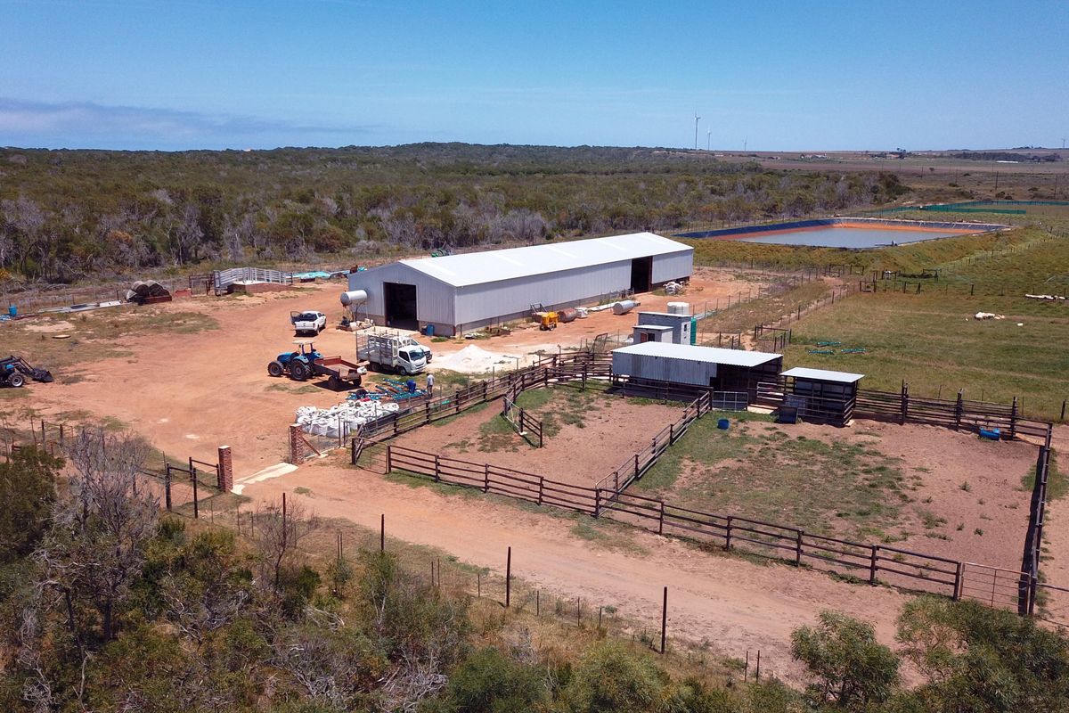 Oyster Bay Opportunity!!! - Photo 3