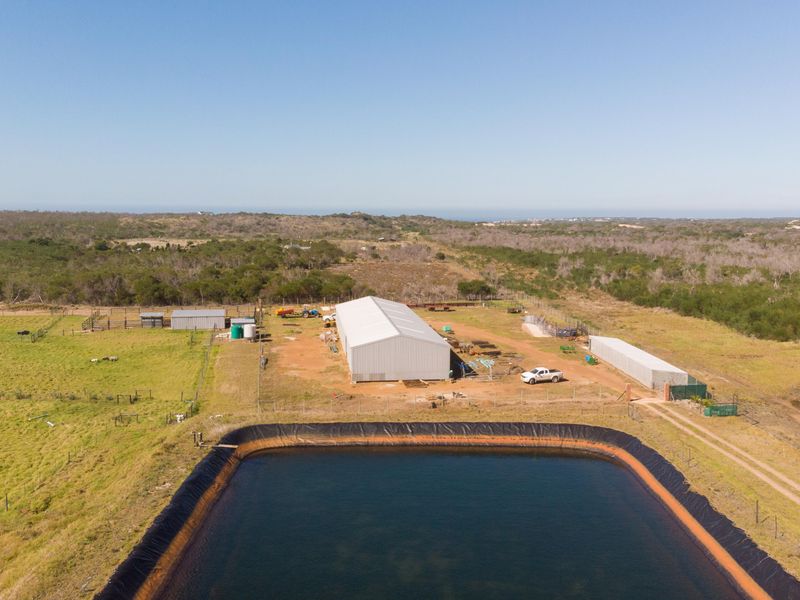 Oyster Bay Opportunity!!! - Photo 2