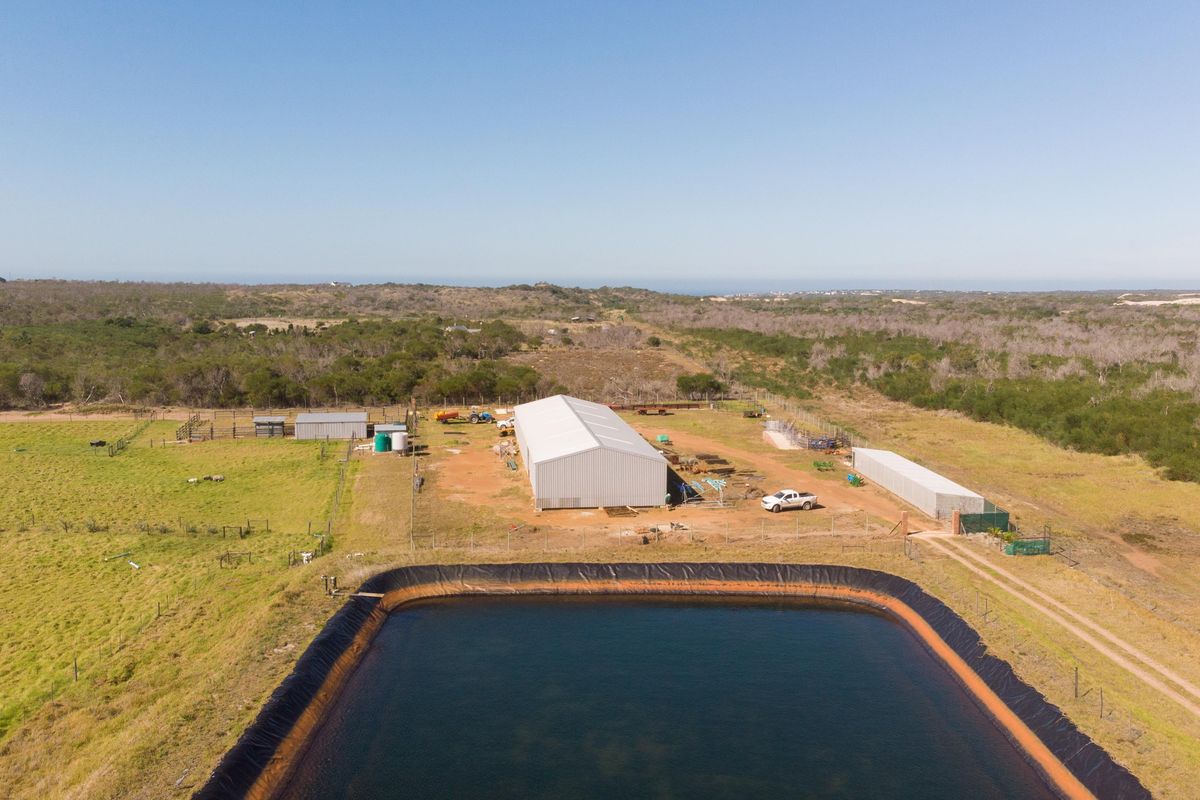 Oyster Bay Opportunity!!! - Photo 2