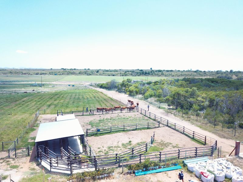 Oyster Bay Opportunity!!! - Photo 4