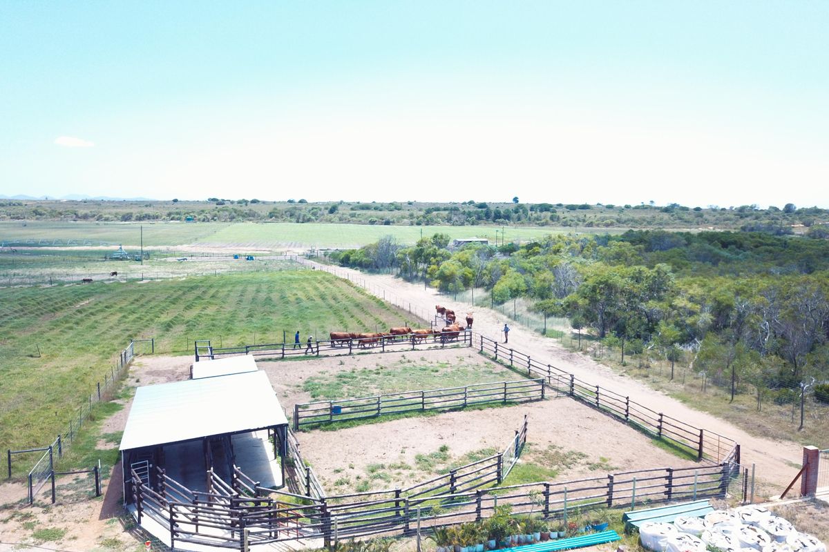 Oyster Bay Opportunity!!! - Photo 4