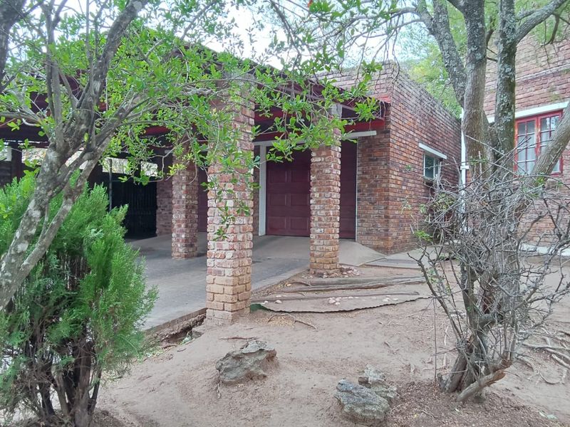 A brick-built garage and carport structure featuring a concrete driveway, set within a natural garden environment with mature trees.