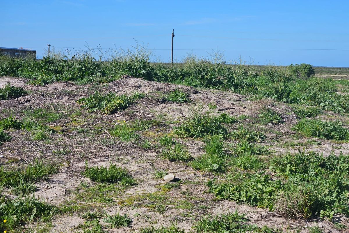 Vacant Land Residential For Sale In Velddrif - Photo 3