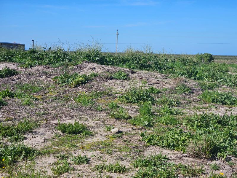 Vacant Land Residential For Sale In Velddrif - Photo 3