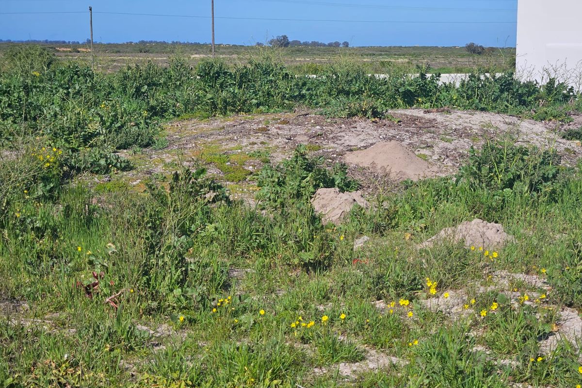 Vacant Land Residential For Sale In Velddrif - Photo 4