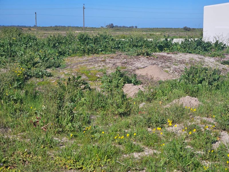 Vacant Land Residential For Sale In Velddrif - Photo 4