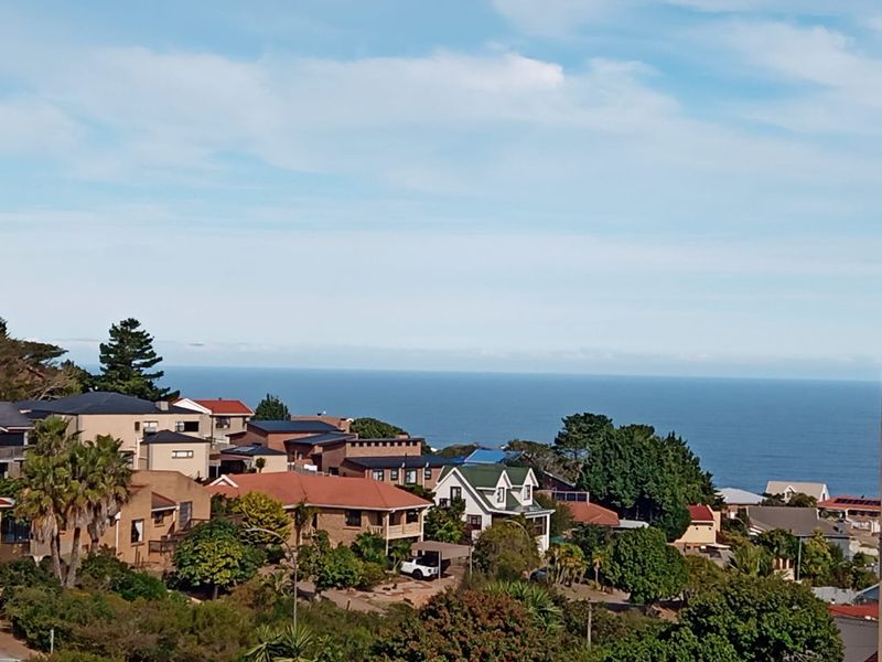 A scenic elevated view overlooking a coastal residential neighbourhood with ocean vistas in the background.