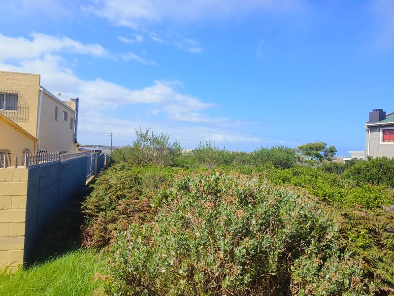 A view of a vacant residential plot featuring established shrubbery and a boundary wall with security spikes.