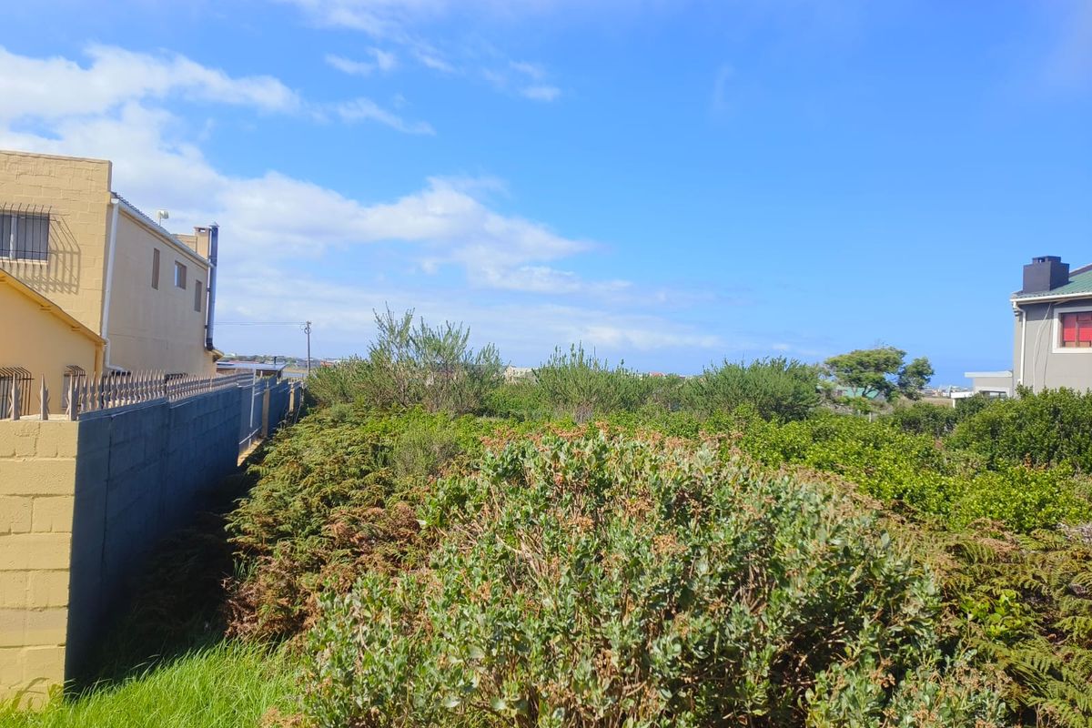 A view of a vacant residential plot featuring established shrubbery and a boundary wall with security spikes.