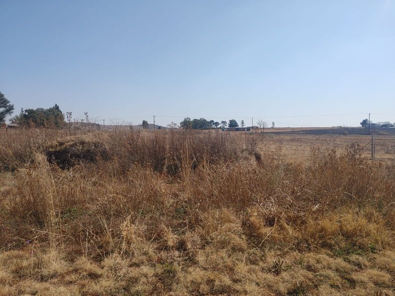 4.2-Hectare Smallholding for Sale in Lindequesdrift - Photo 3