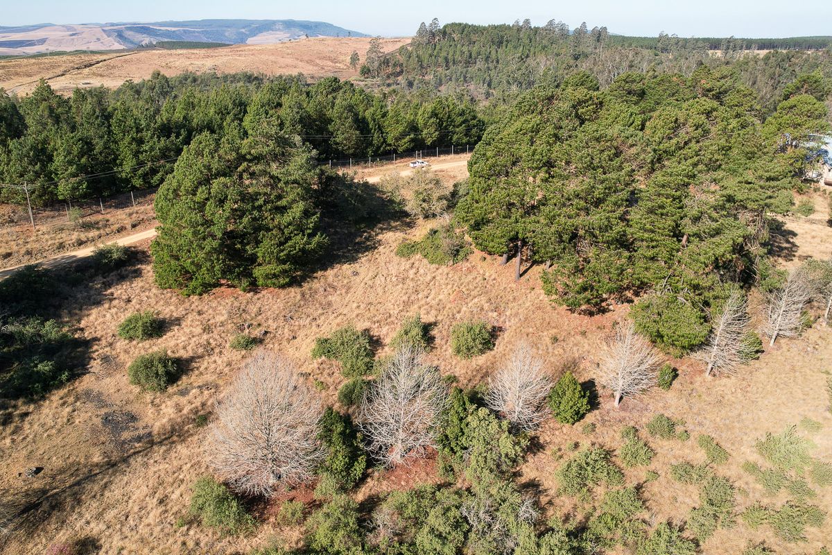 Exceptional Vacant Land in Eaglecrest Wildlife Estate - Photo 3