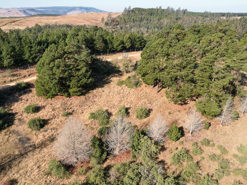 Exceptional Vacant Land in Eaglecrest Wildlife Estate - Photo 3