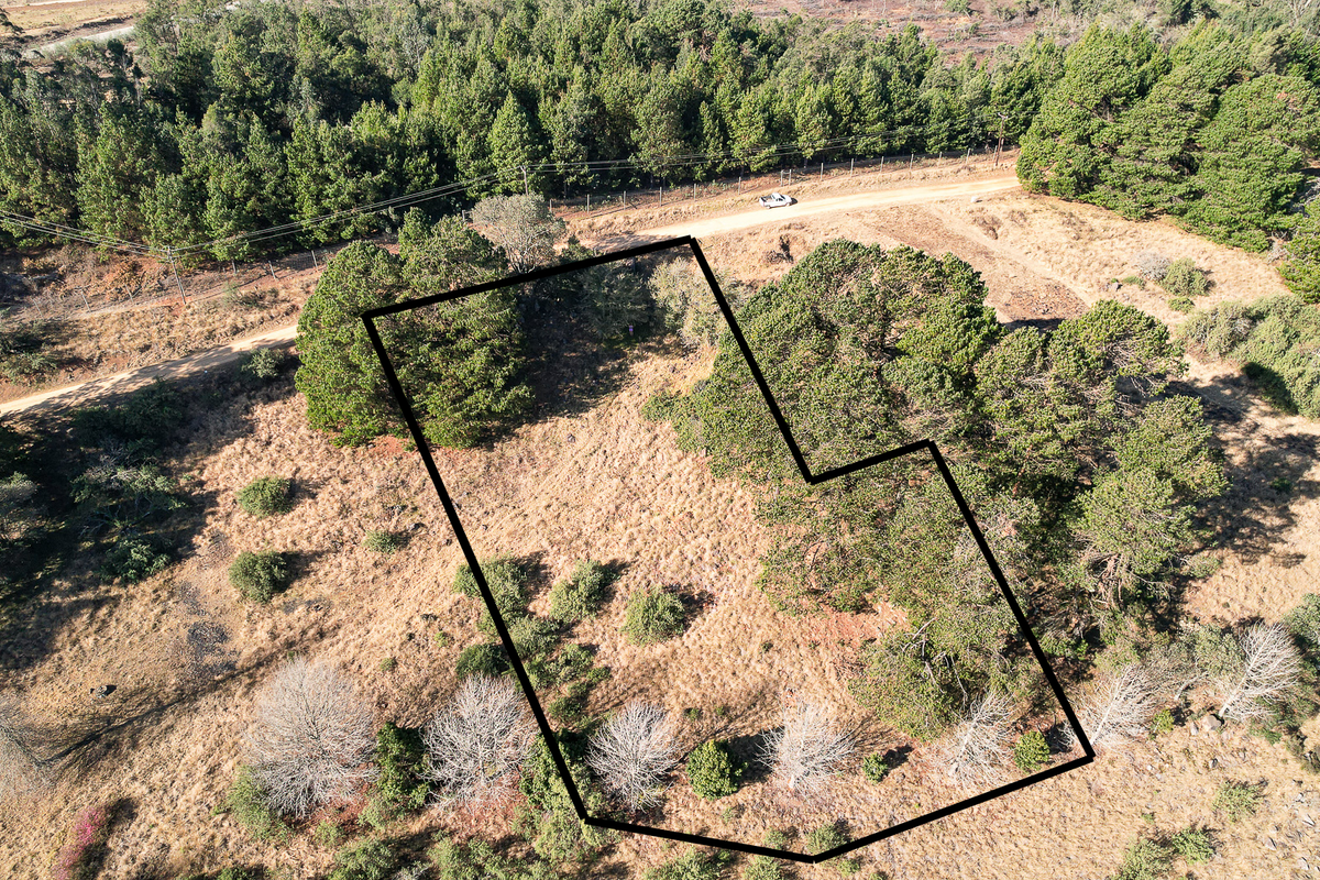 Exceptional Vacant Land in Eaglecrest Wildlife Estate - Photo 2