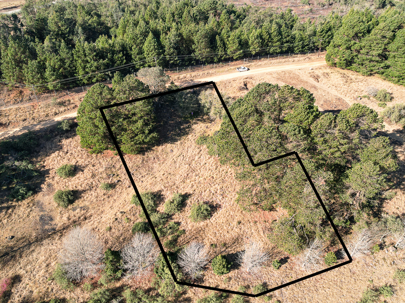 Exceptional Vacant Land in Eaglecrest Wildlife Estate - Photo 2