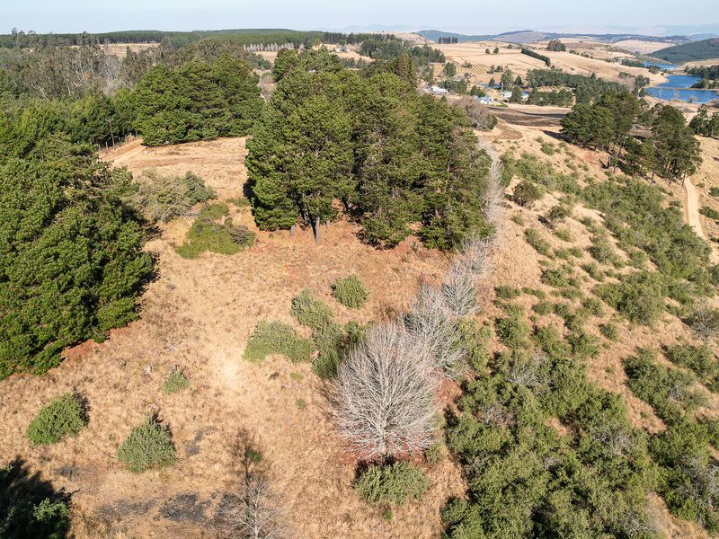 Exceptional Vacant Land in Eaglecrest Wildlife Estate - Photo 9
