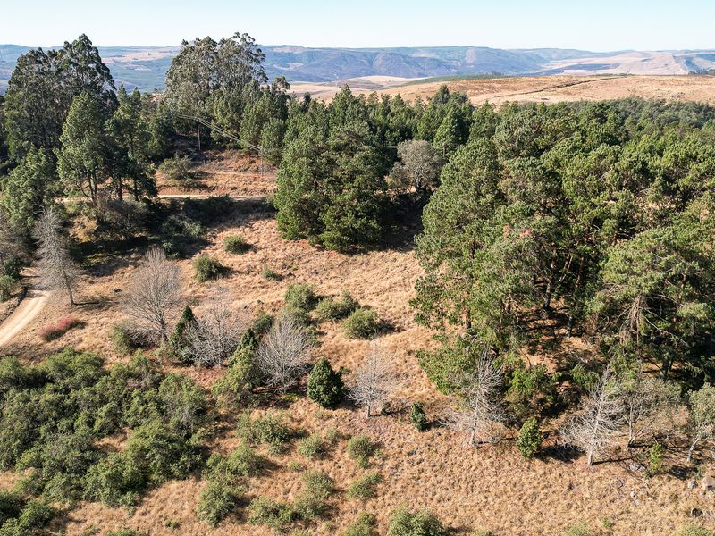 Exceptional Vacant Land in Eaglecrest Wildlife Estate - Photo 8