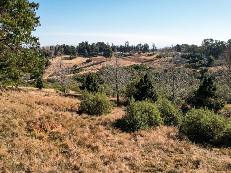Exceptional Vacant Land in Eaglecrest Wildlife Estate - Photo 7