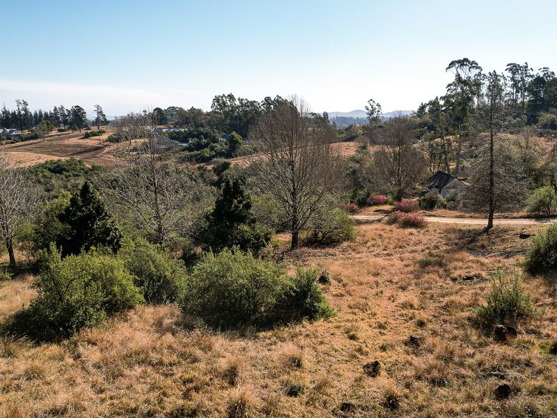 Exceptional Vacant Land in Eaglecrest Wildlife Estate - Photo 6