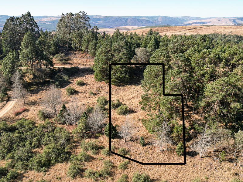 Exceptional Vacant Land in Eaglecrest Wildlife Estate - Photo 1