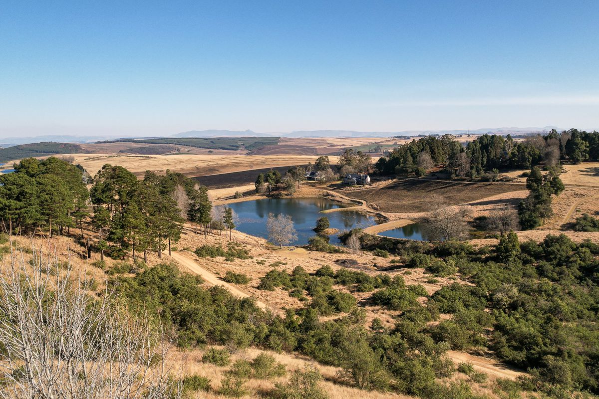 Exceptional Vacant Land in Eaglecrest Wildlife Estate - Photo 4
