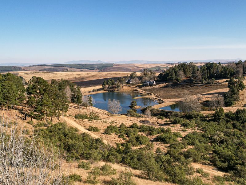 Exceptional Vacant Land in Eaglecrest Wildlife Estate - Photo 4