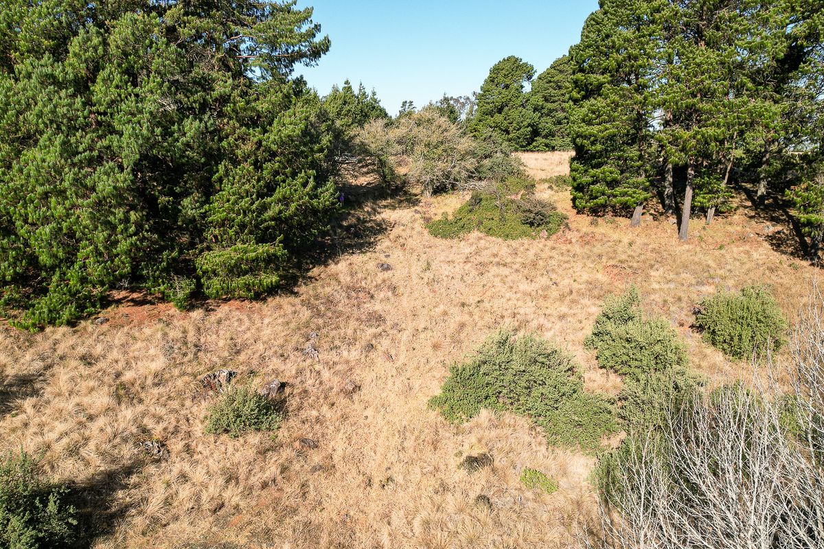 Exceptional Vacant Land in Eaglecrest Wildlife Estate - Photo 5