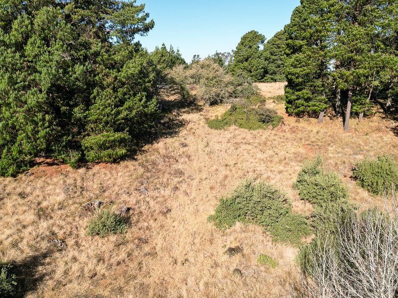 Exceptional Vacant Land in Eaglecrest Wildlife Estate - Photo 5