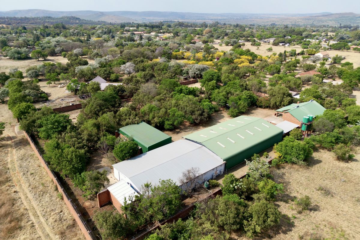 Aerial view of a farm property featuring multiple large industrial-style sheds with metal roofing, surrounded by mature trees and established vegetation.