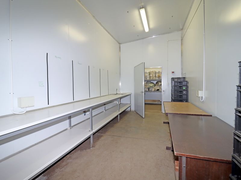 Exceptional Business Opportunity in Gerardsville - Photo 5