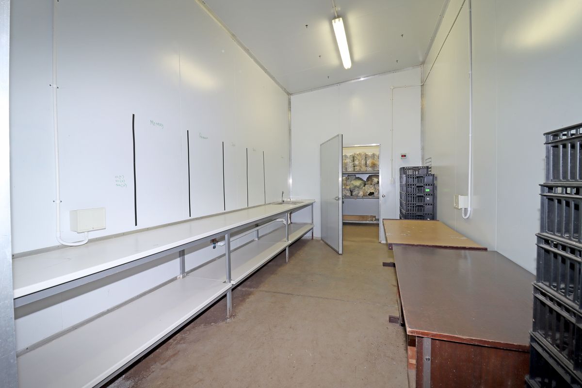 Exceptional Business Opportunity in Gerardsville - Photo 5