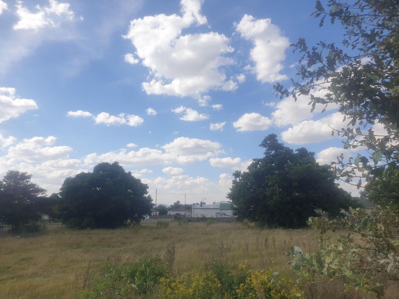 2 Stands for sale on the main street - Photo 4