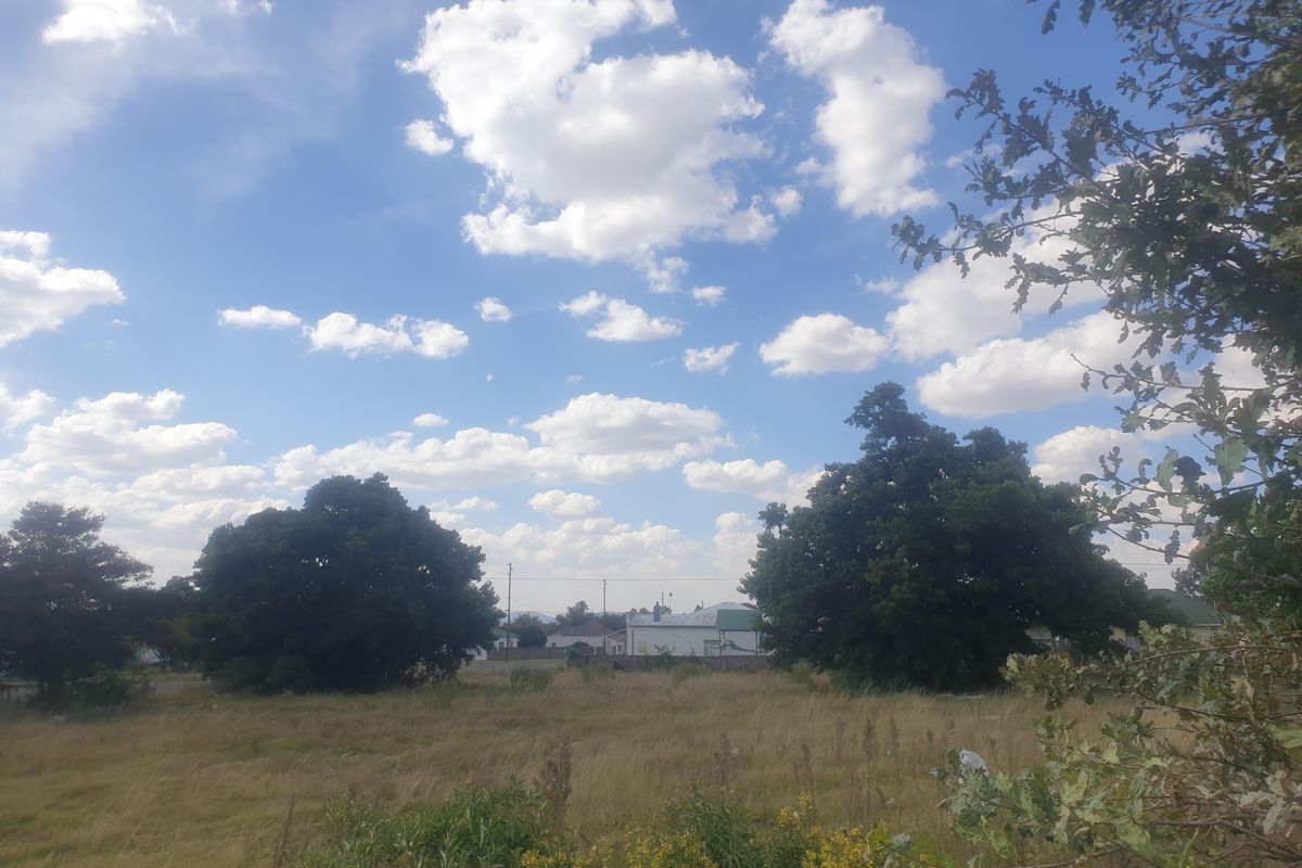 2 Stands for sale on the main street - Photo 4