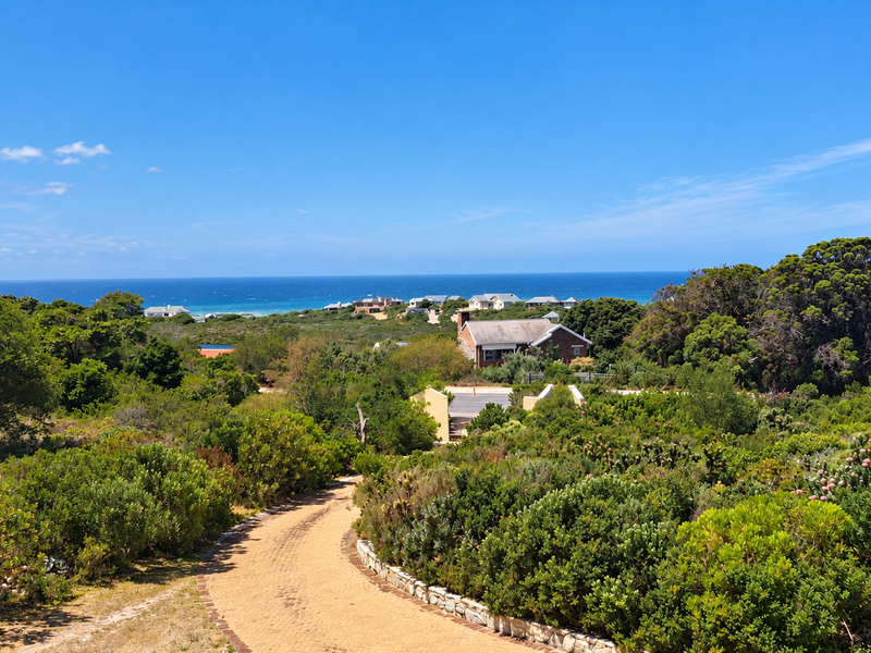 A scenic elevated view overlooking the coastal landscape, surrounding vegetation, and distant ocean horizon with a paved driveway in the foreground.