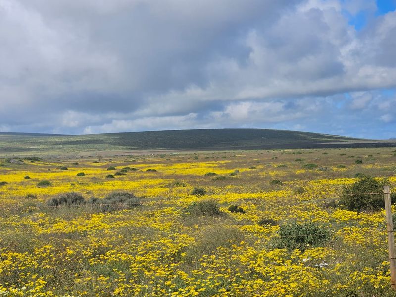 Your Dream Starts Here – Prime Stand in the Heart of Britannia Bay - Photo 8