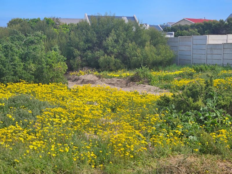 Your Dream Starts Here – Prime Stand in the Heart of Britannia Bay - Photo 6