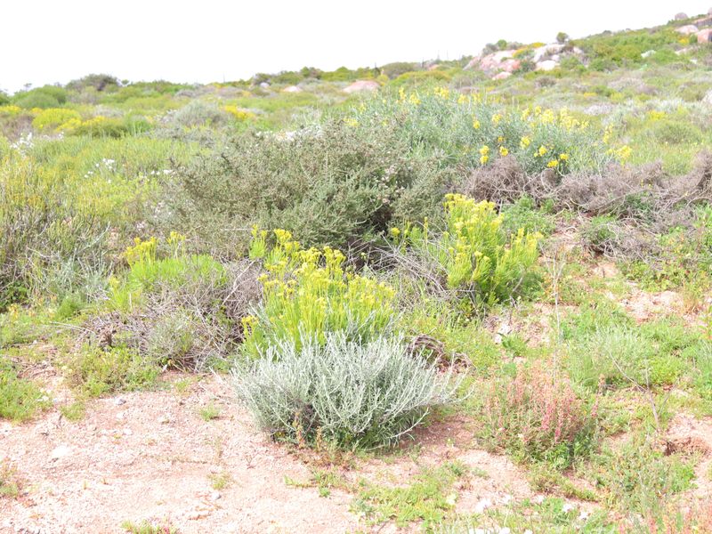 Vacant land for Sale in Kapteins Kloof, St Helena Bay - Photo 5