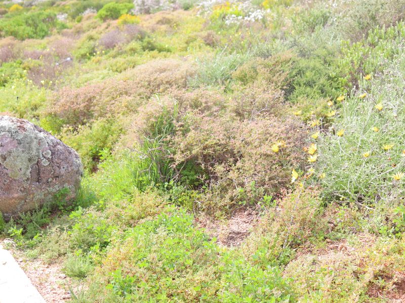 Vacant land for Sale in Kapteins Kloof, St Helena Bay - Photo 10