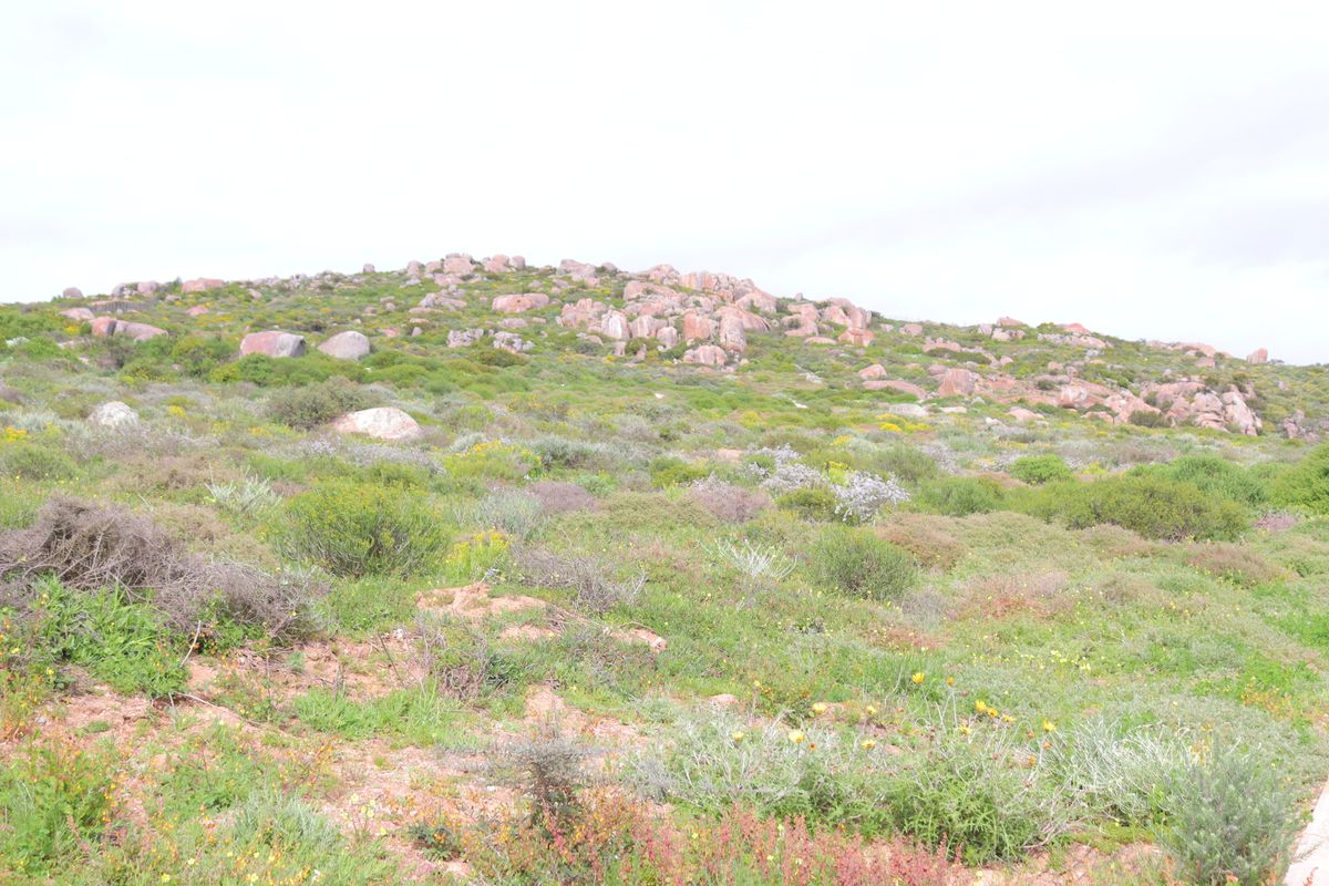 Vacant land for Sale in Kapteins Kloof, St Helena Bay - Photo 4