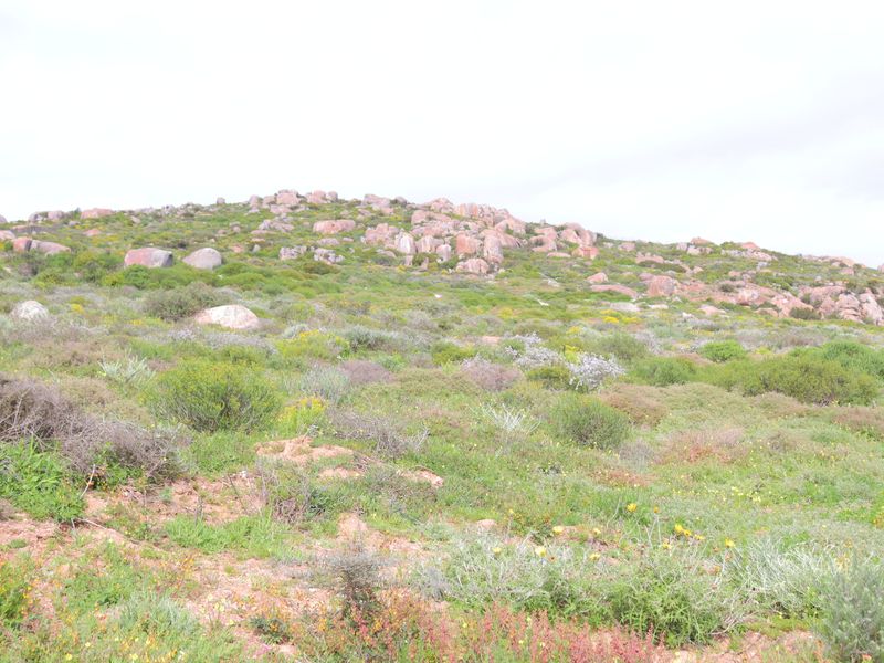 Vacant land for Sale in Kapteins Kloof, St Helena Bay - Photo 4